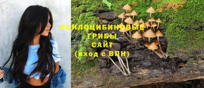 Галлюциногенные грибы MAGIC MUSHROOMS  это состав  Северск  наркотики  ссылка на мегу как войти 